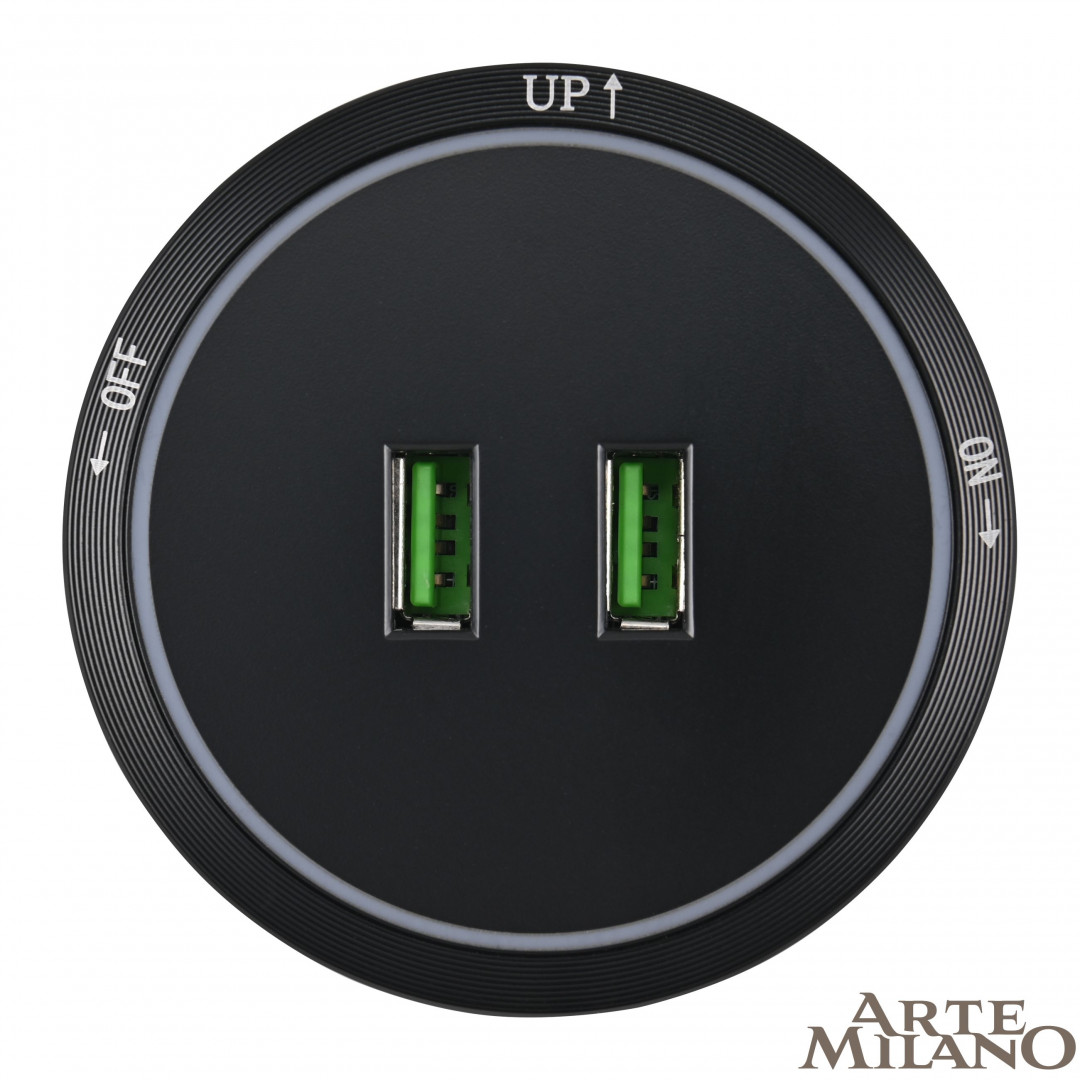 Трековая розетка Arte Milano Am-track-sockets 380066TS LED/USBx2 Black