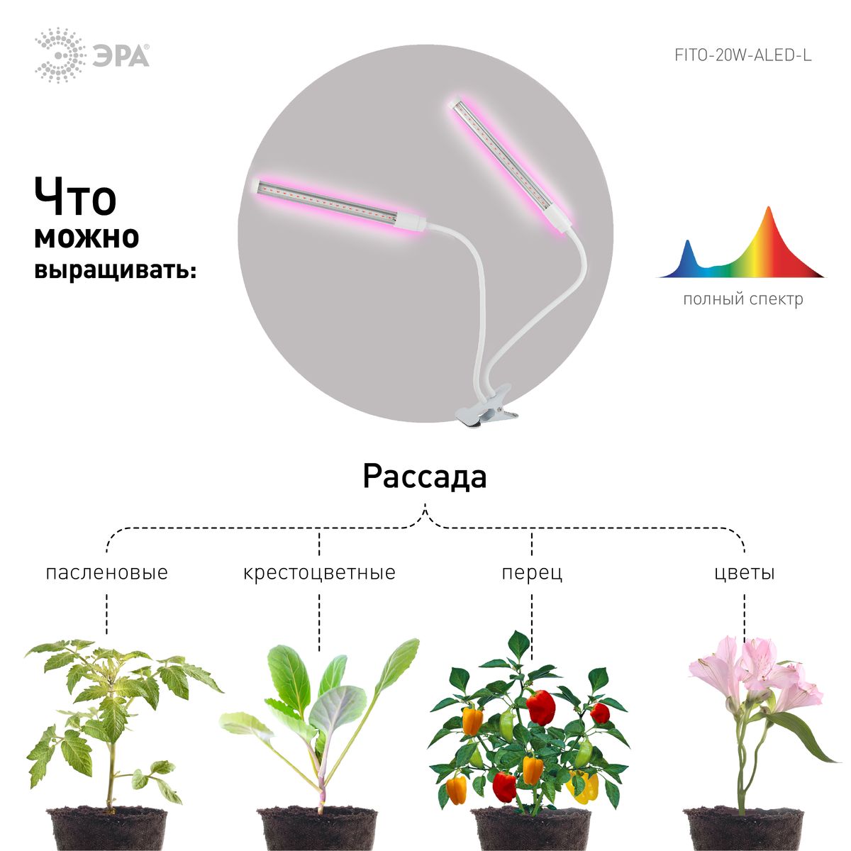 Светильник для растений на прищепке ЭРА FITO-20W-АLED-L Б0049550