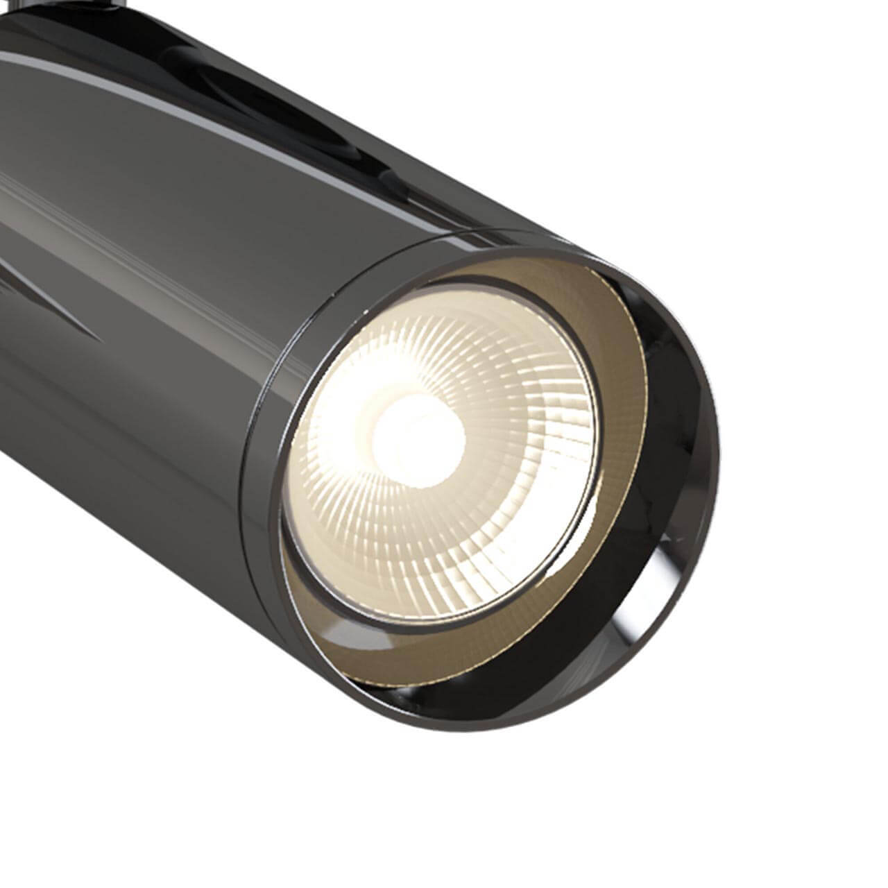 Трековый светильник Maytoni Track lamps TR004-1-GU10-GF